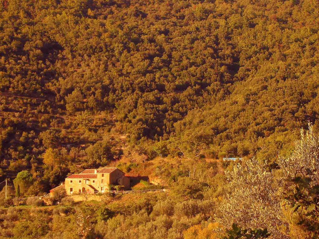 Locanda San Martino A Bocena Cortona Zewnętrze zdjęcie
